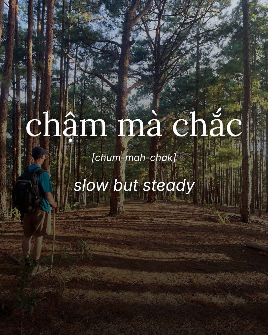 Tiếng Việt For You: CHẬM MÀ CHẮC 🐢