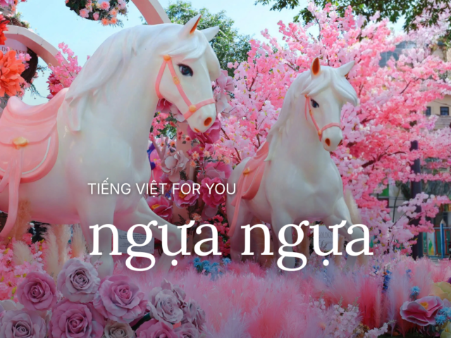 Tiếng Việt For You: Ngựa ngựa